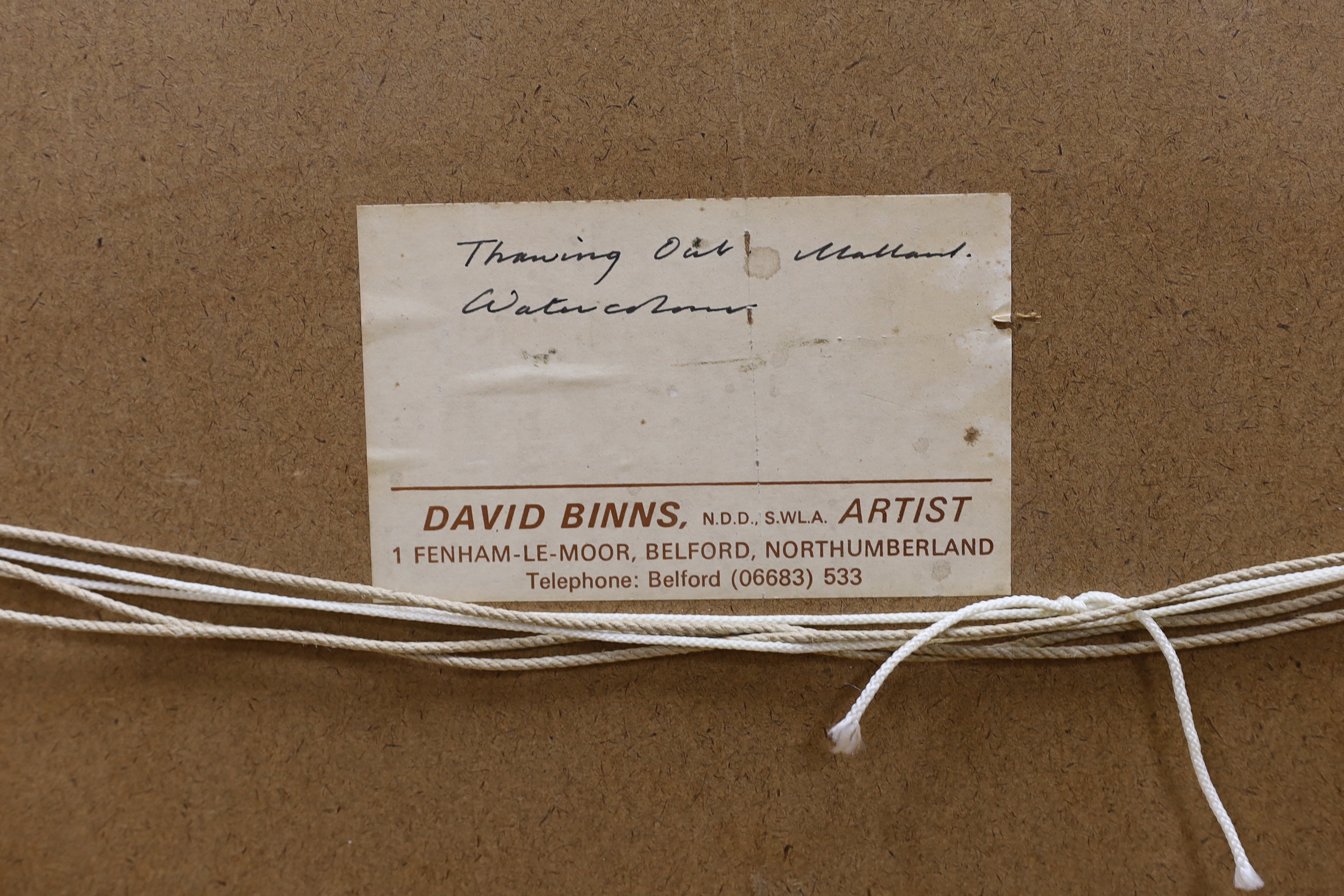 David Binns (1935-2020) watercolour, 'Thawing out mallard', signed and dated '80, inscribed label verso, 50 x 36cm